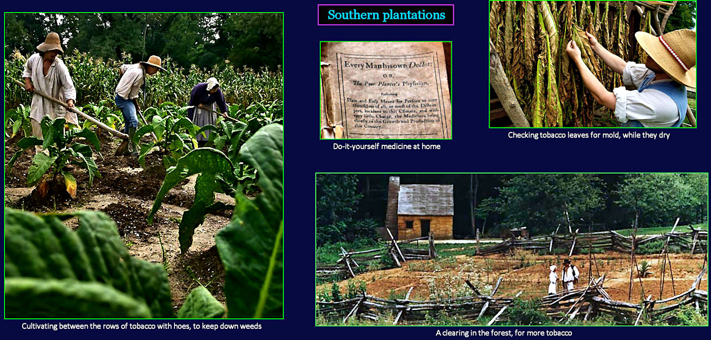 Virginia tobacco plantations, 1700